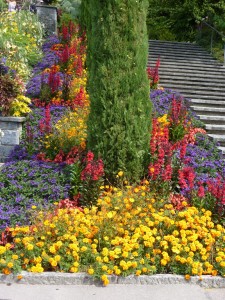 Bunte und füllige Lebenskraft. Feng Shui in Reinkultur. Wahrnehmbare Wirkung und erfreuliche Ausstrahlung.