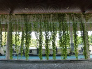 Wasserverwendung und Sonnenschutz