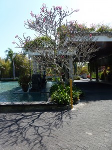 Wasserbecken, grüner Vorhang, Spenderköpfe - Nahrung für den Haupteingang