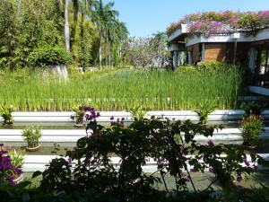 Wachstum und Farben wohin das Auge reicht