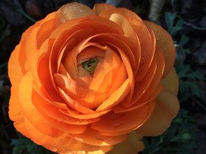 Ein Wegabschnitt zur Persönlichkeitsentfaltung