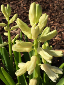Die Persönlichkeitsentfaltung ist vollem Gange.